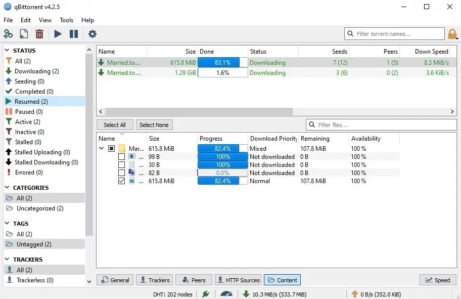 qBittorrent Portable